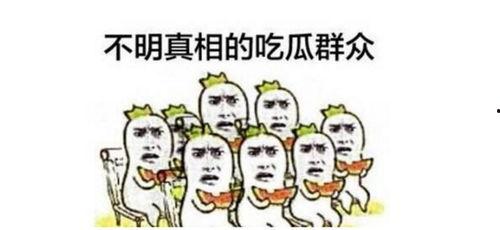吃瓜群众早安视频大全,视频大全里的欢乐时光