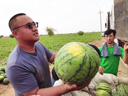 又是吃瓜的一天完整视频,热门视频背后的故事与笑料