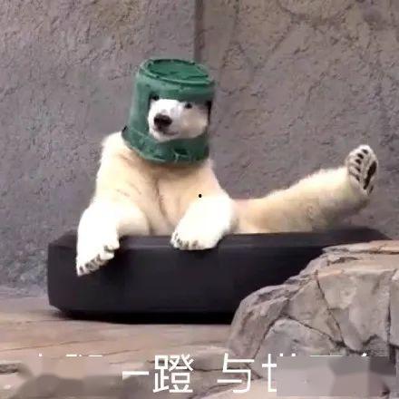 带你吃瓜沙雕直播视频,带你吃瓜