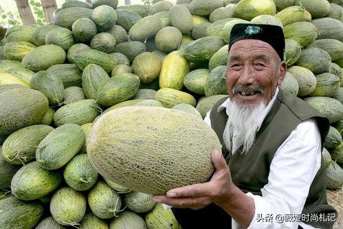 新疆吃哈密瓜放羊视频,甜蜜瞬间引网友热议