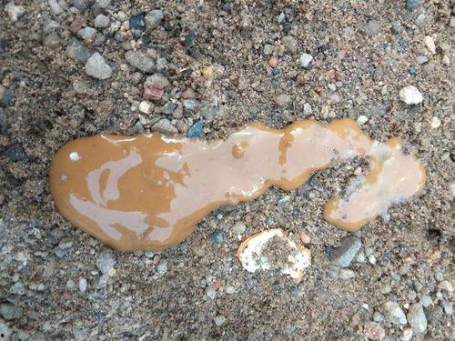 鸡屎瓜怎么吃最好吃呢视频,视频教你如何烹饪最佳口感