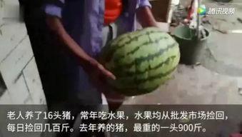 吃瓜网里面的视频哪来的,揭秘幕后制作过程