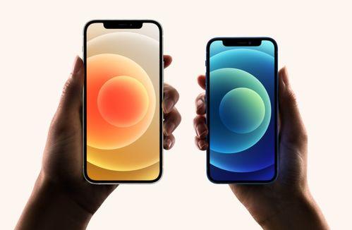 苹果手机怎么看吃瓜视频,轻松观看吃瓜视频的秘籍解析