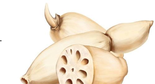 二宝最新吃瓜视频,揭秘娱乐圈幕后真相