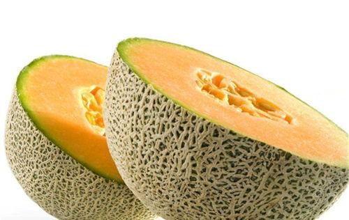 彩色龙虾吃哈密瓜视频教程