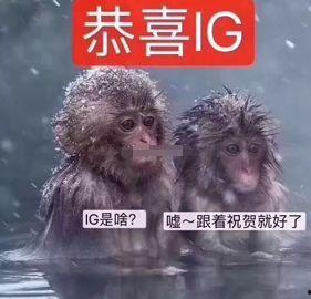 大瓜吃的真香图片大全视频,真香现场，视觉盛宴大盘点