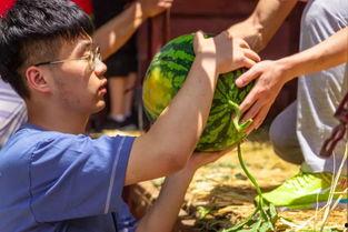 铁佛吃瓜比赛视频,一场视觉盛宴与味蕾挑战的较量