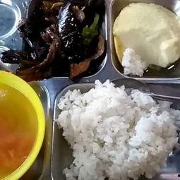 快餐吃瓜的视频大全,视频大全带你领略网络潮流