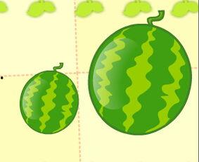 吃瓜歌儿歌视频,趣味横生，轻松学唱