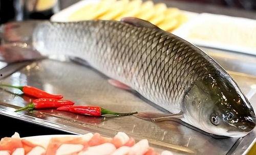 大八瓜鱼吃货视频播放,一场味蕾的盛宴之旅