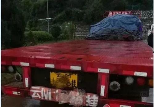 司机撞车吃瓜视频真实吗,真相揭秘还是网络恶搞？