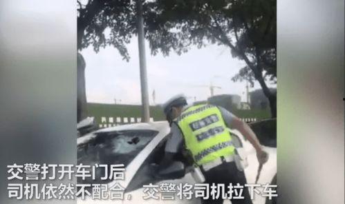 潮汕网红吃瓜事件视频大全,视频大全揭秘网络热点背后的真相