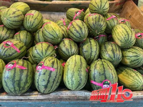 吃大的瓜视频大全,盘点全网热门吃大瓜视频大全