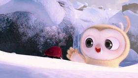 动物吃瓜比赛视频大全集