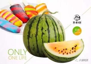 掌柜吃瓜的视频