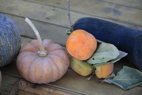 南京交院小视频吃瓜,一场校园吃瓜盛宴背后的故事