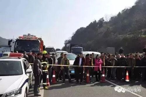 文山吃瓜群众事件视频最新,一场网络舆论的风暴与反思