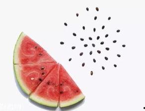 吃瓜吐籽特效视频下载,籽去无踪——揭秘吃瓜吐籽特效视频下载全攻略