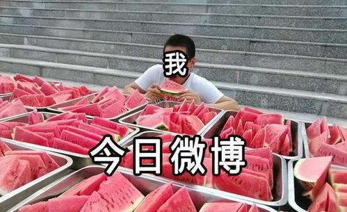 博主吃瓜比赛视频,博主带你领略瓜界风云