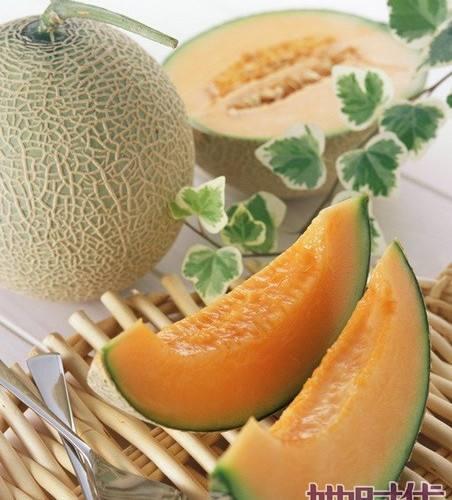 大鹅宠物吃哈密瓜视频,萌态十足引网友热议