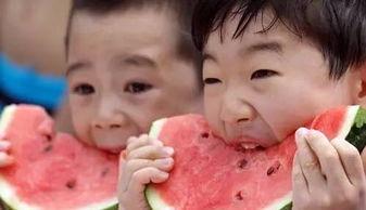 亲子互动吃瓜视频,一起吃瓜，共享温馨互动瞬间