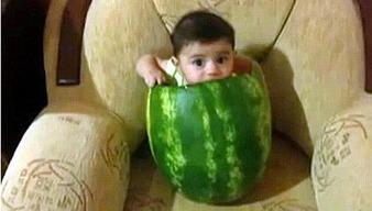 吃瓜摆烂故事大全集视频,笑料横生的故事大全集视频精选