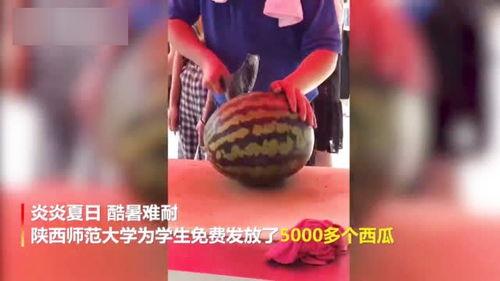 福师大事件吃瓜最新视频,真相再起波澜