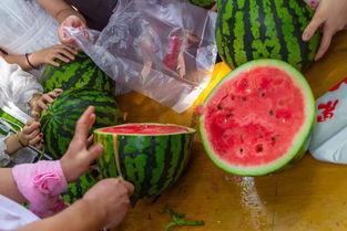 山东德州吃瓜视频,一场别开生面的吃瓜盛宴