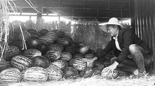 淮安吃瓜群众事件视频曝光,视频曝光揭示现场冲突瞬间