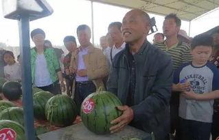 云南热心吃瓜群众视频大全,趣味横生的云南生活剪影