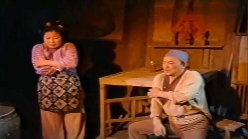 夫妻俩找鸭子吃瓜视频,趣味视频走红网络