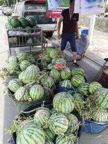 冕宁吃瓜事件视频最新情况,最新视频揭露惊人内幕