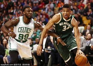 字母哥吃小瓜视频大全集,趣味视频大盘点