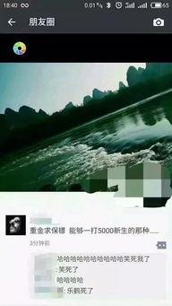 吃瓜群众哈哈视频下载