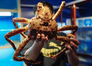 美食主播沉浸式吃瓜视频