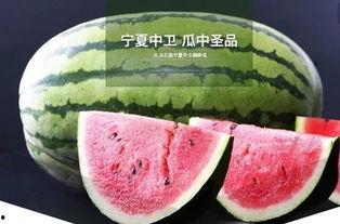 鲤鱼吃瓜视频,揭秘水下美食奇观