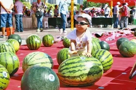 吃瓜大赛视频 第2张 吃瓜大赛视频 第2张