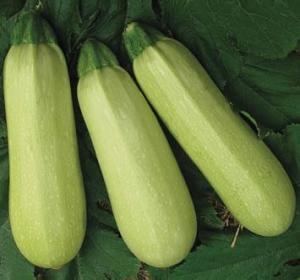 鹿泉最新吃瓜事件视频,视频揭秘惊人真相！