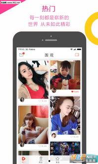 八卦吃瓜纯音乐视频,探寻八卦背后的纯音魅力