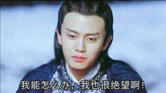 任嘉伦吃瓜哪一期视频