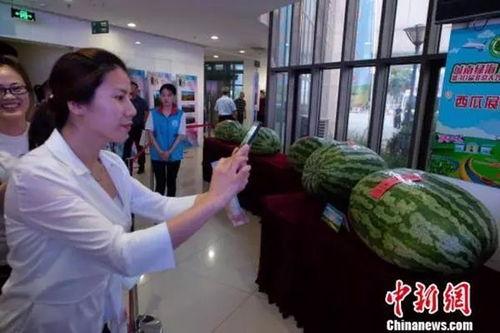 菏泽有没有吃瓜的视频,视频曝光引网友热议  第2张