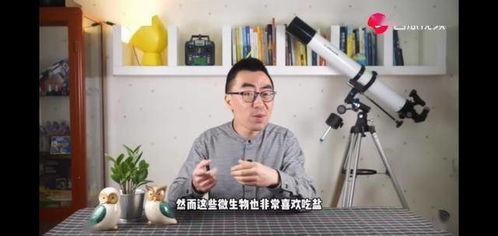 吃土瓜的视频大全集