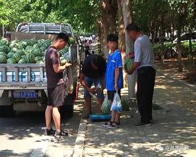 晋城吃瓜群众事件视频最新,网络热议背后的真相揭秘