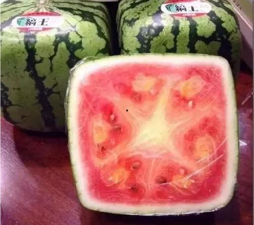 世界上有个吃瓜视频的人  第3张