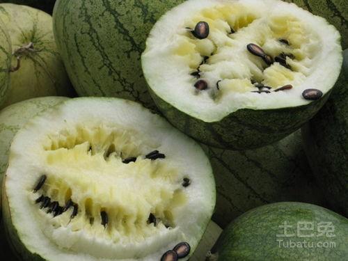 籽瓜为什么要甩着吃呢视频,籽瓜甩着吃的独特魅力揭秘