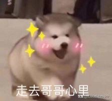 吃瓜不抽烟的视频  第3张