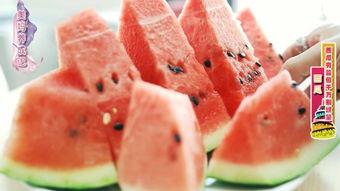 棱瓜哪里吃的多啊视频大全