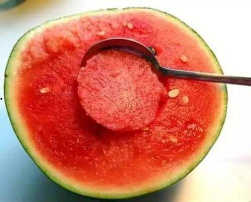 樱花玛瑙吃瓜视频文案