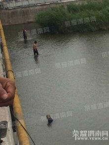 吃瓜大爷跳桥是哪一集视频,揭秘事件背后的真相与反思  第2张