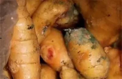 最近吃瓜中毒视频大全,2023年度热门吃瓜中毒视频大盘点